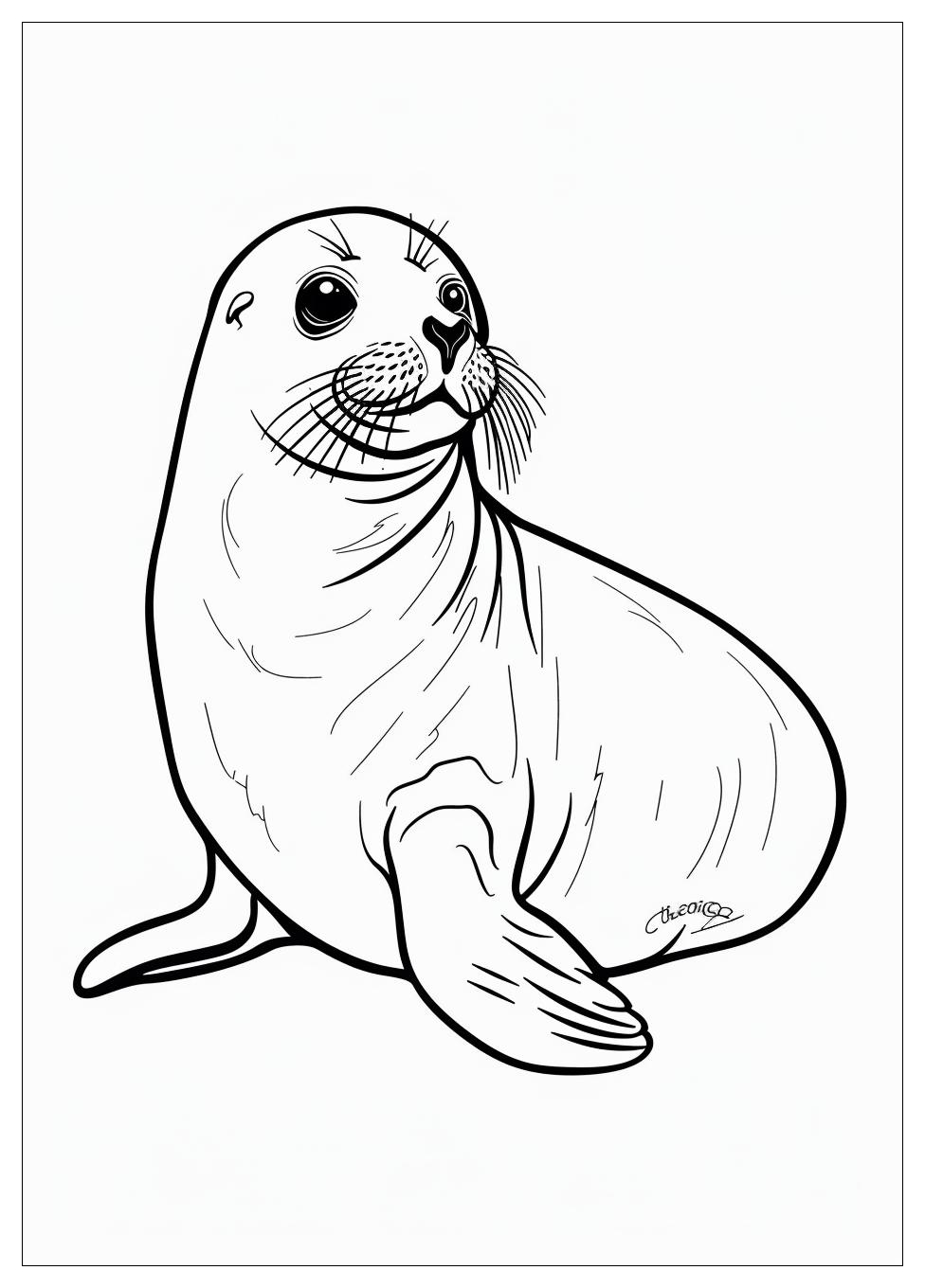 Seal Coloring Pages-8