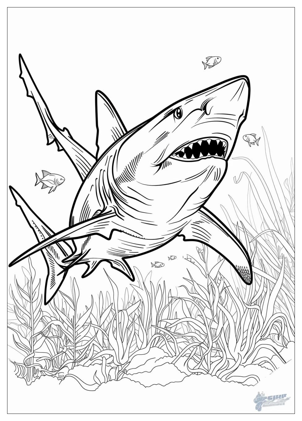 Shark Coloring Pages-15