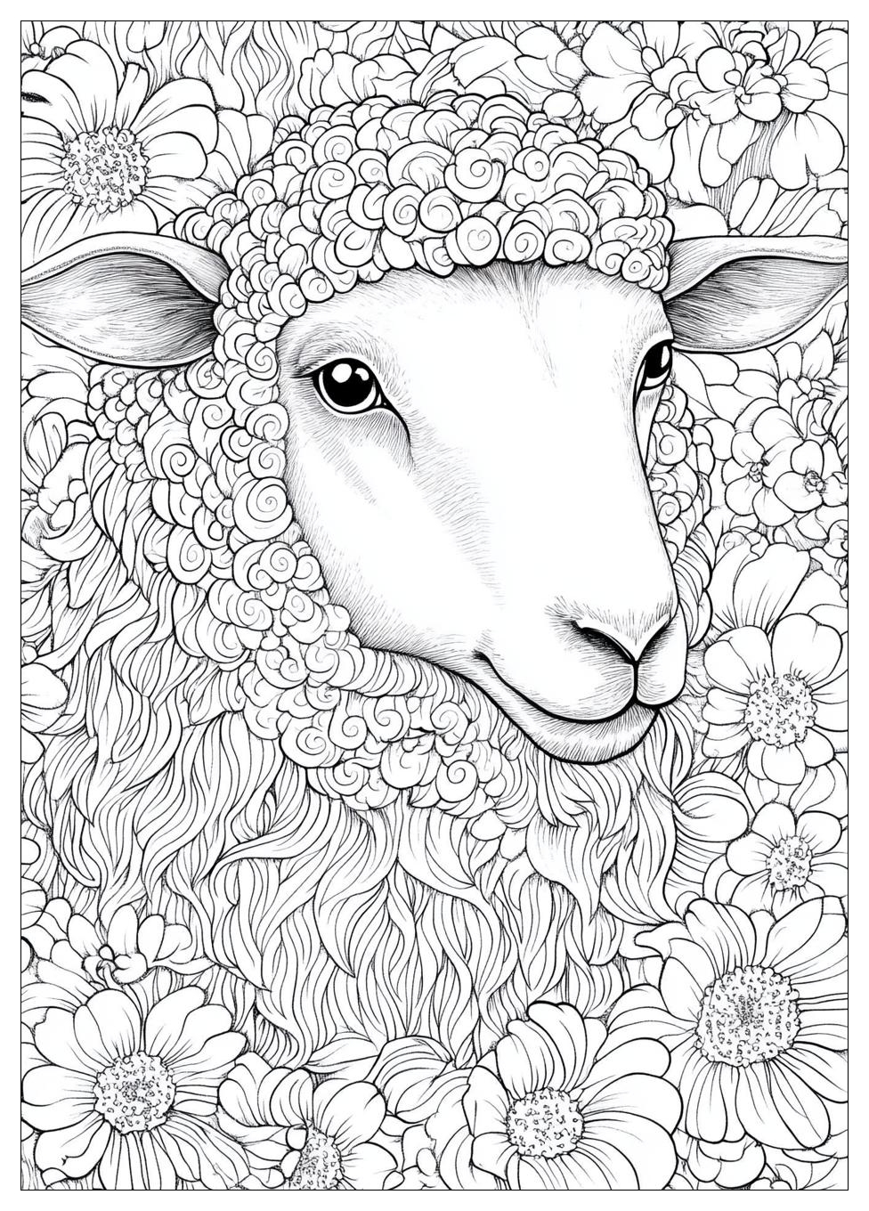 Sheep Coloring Pages-14