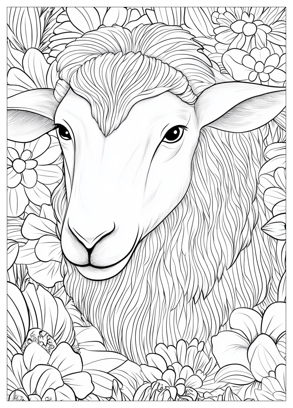 Sheep Coloring Pages-15