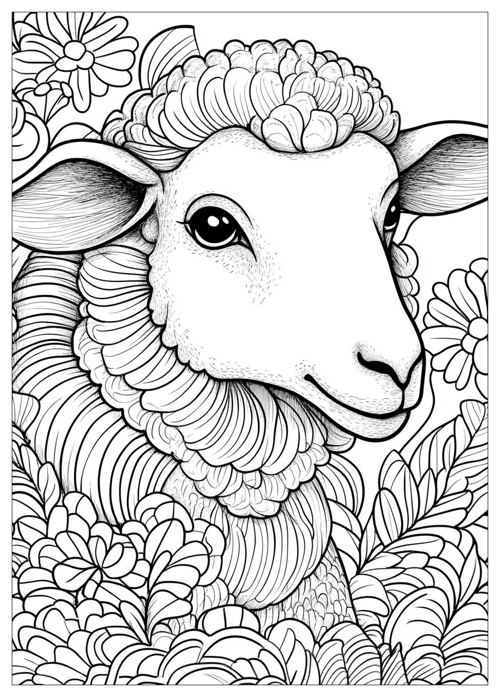 Sheep Coloring Pages-16