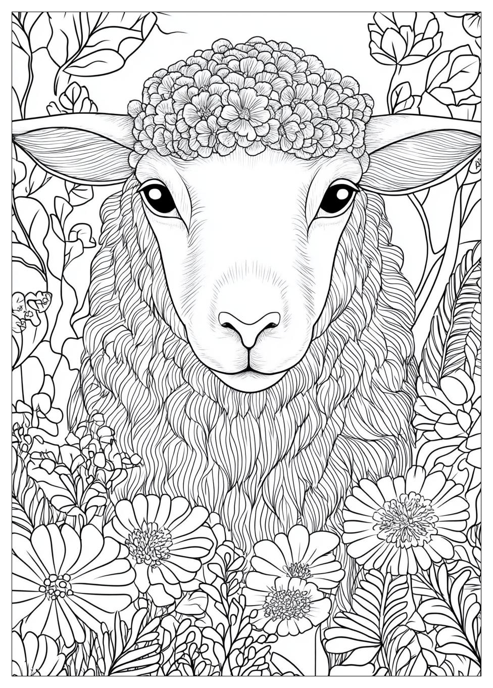 Sheep Coloring Pages-17