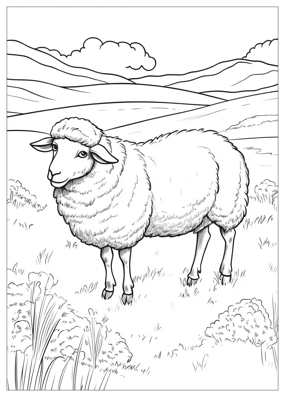 Sheep Coloring Pages-3