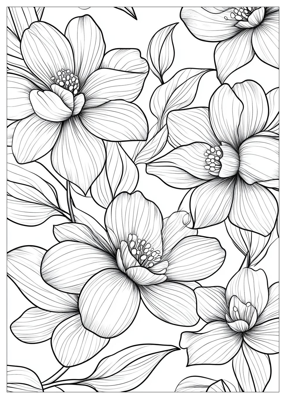 Shimmer And Shine Coloring Pages-16