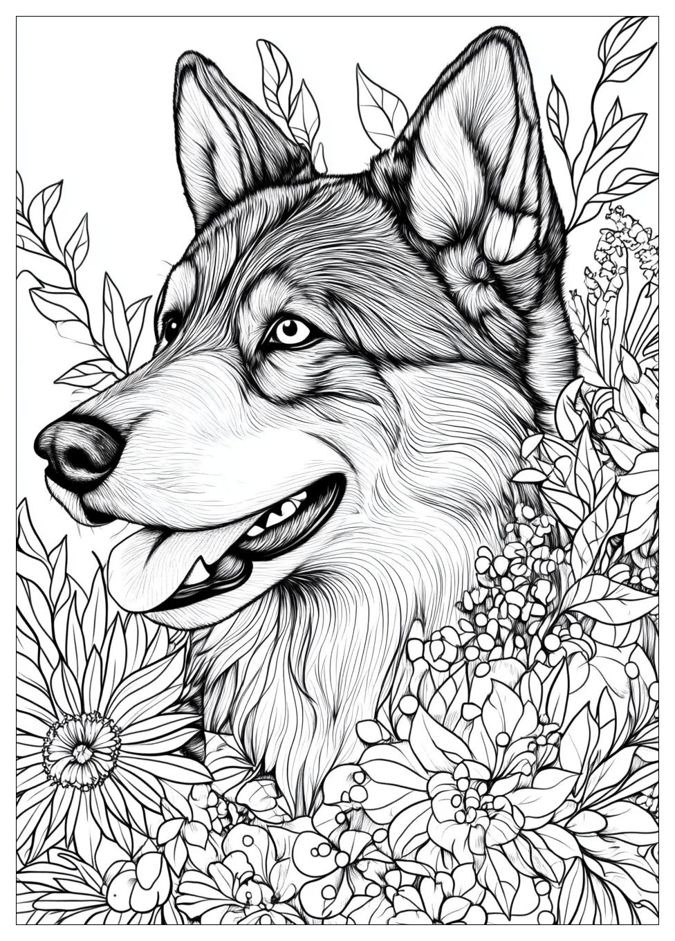 Siberian Husky Coloring Pages-14