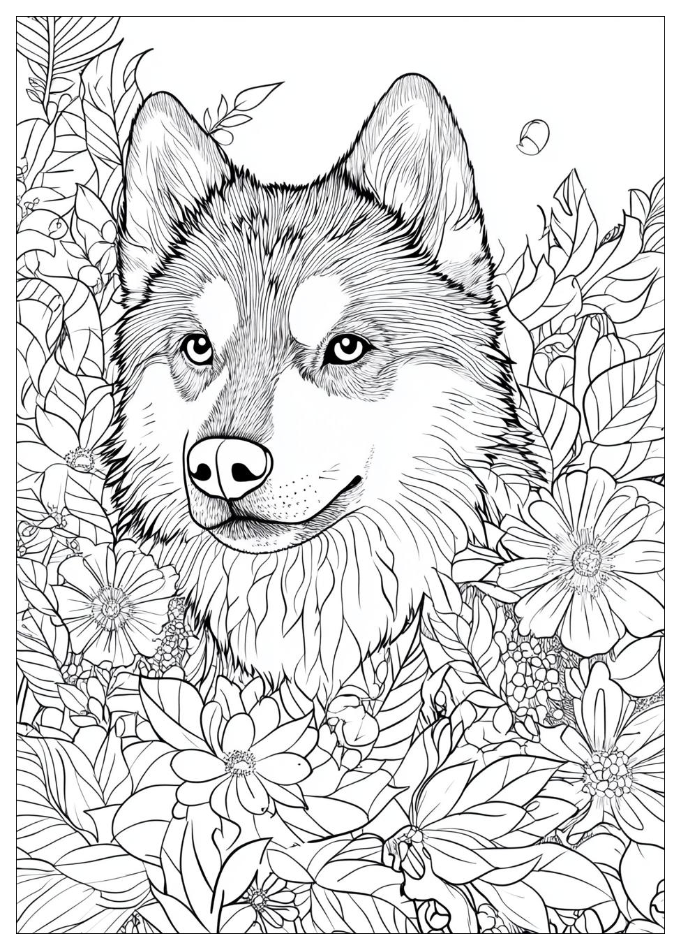 Siberian Husky Coloring Pages-16