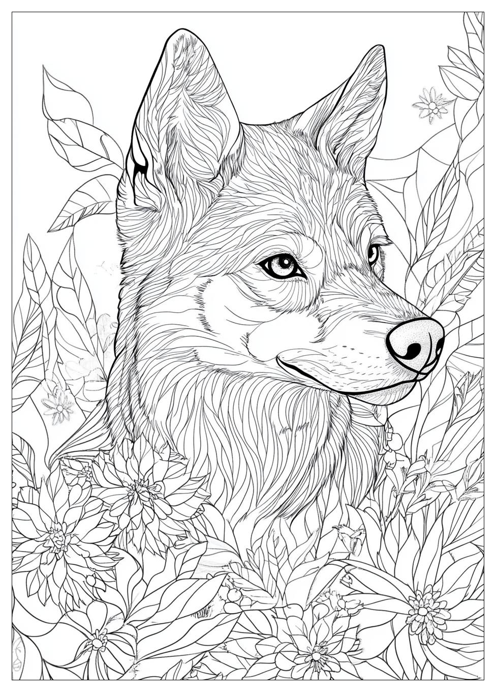 Siberian Husky Coloring Pages-17