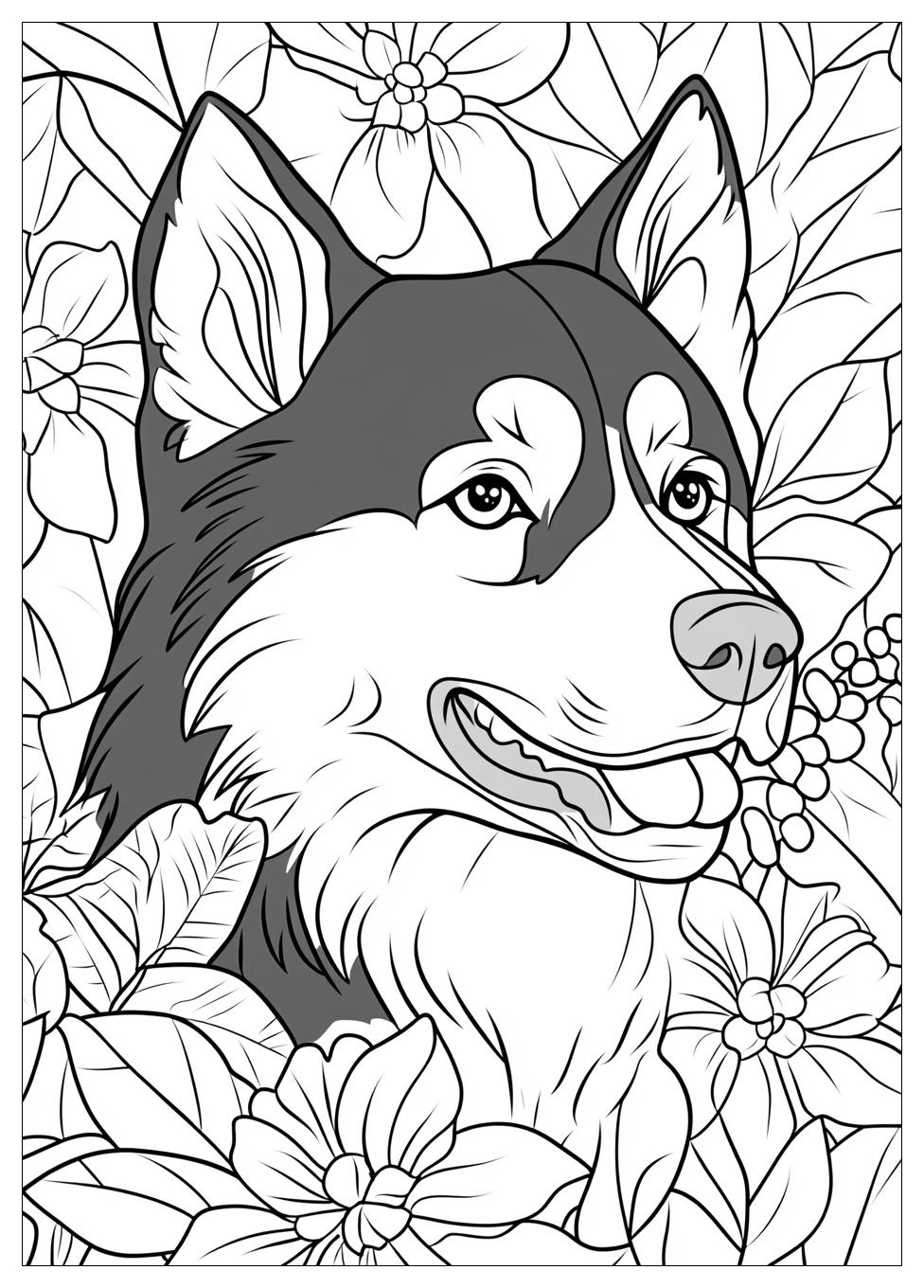 Siberian Husky Coloring Pages-18