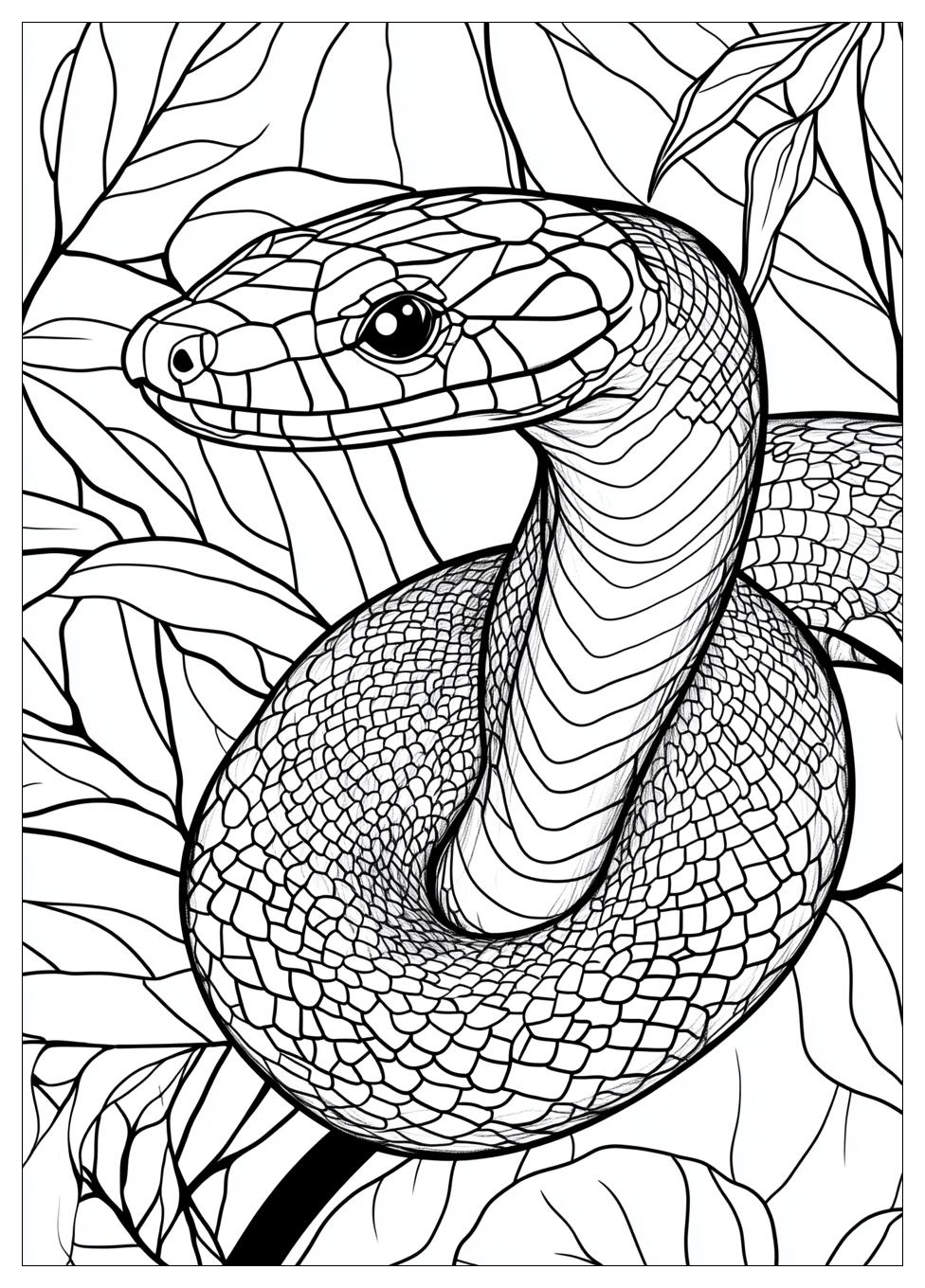 Snake Coloring Pages-12