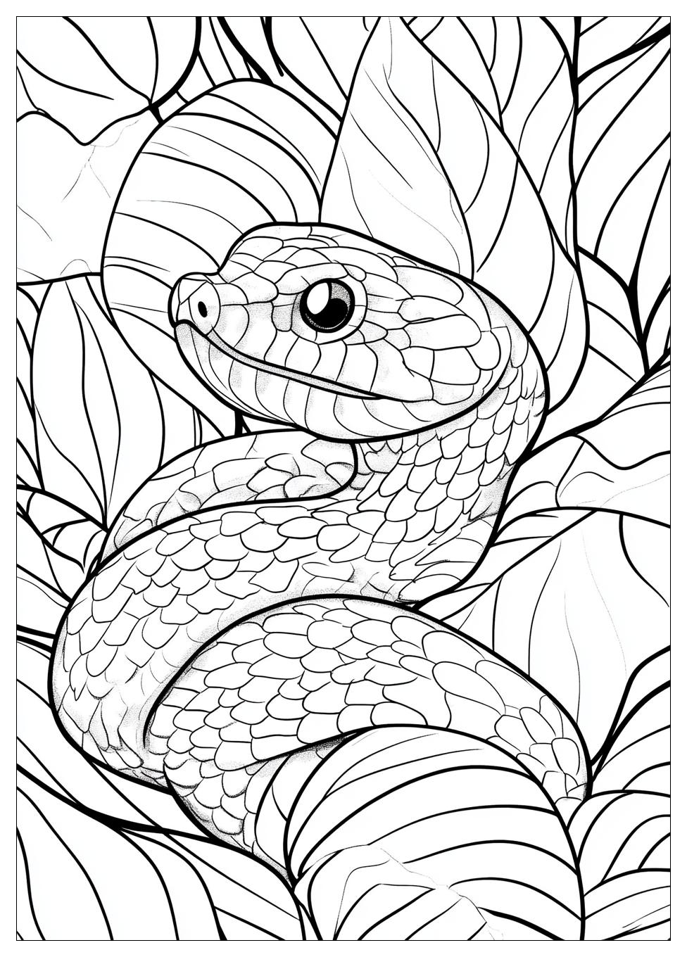 Snake Coloring Pages-14