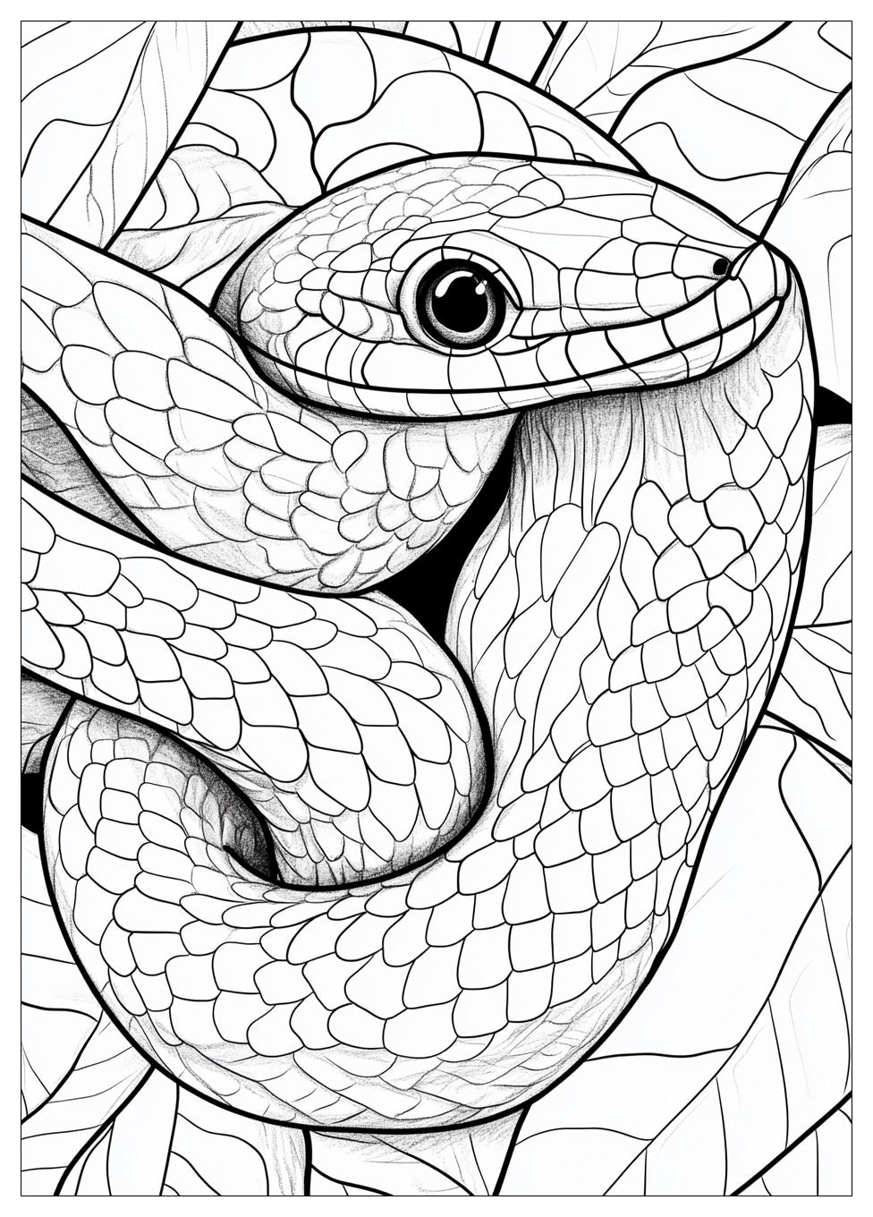 Snake Coloring Pages-2
