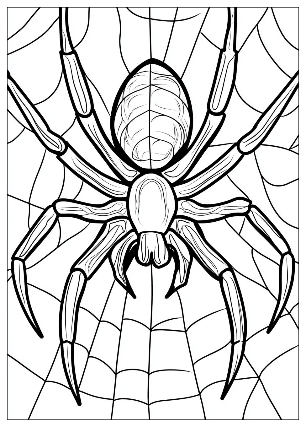 Free Printable Spider Coloring Pages 11 Spider Coloring Pages-11