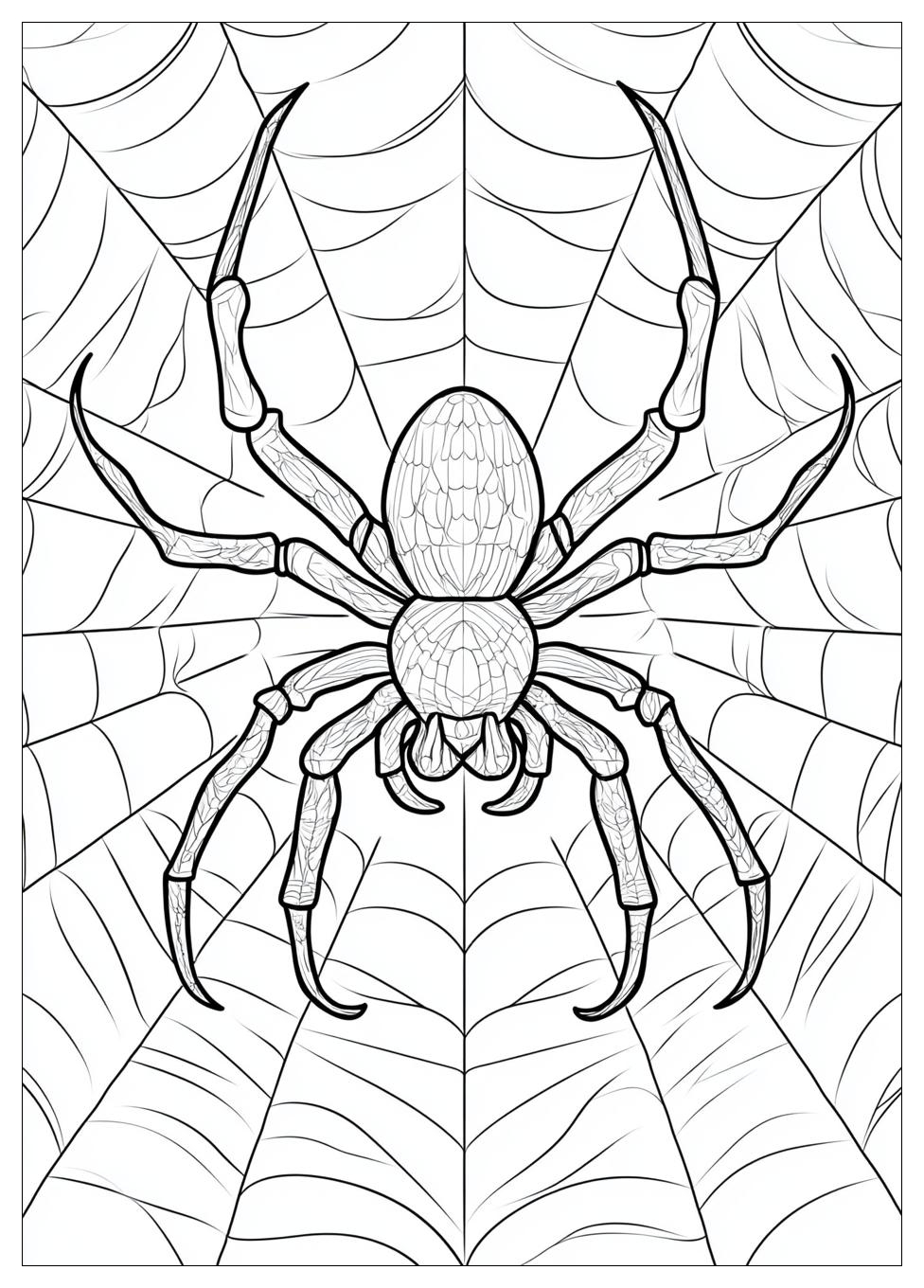 Free Printable Spider Coloring Pages 13 Spider Coloring Pages-13