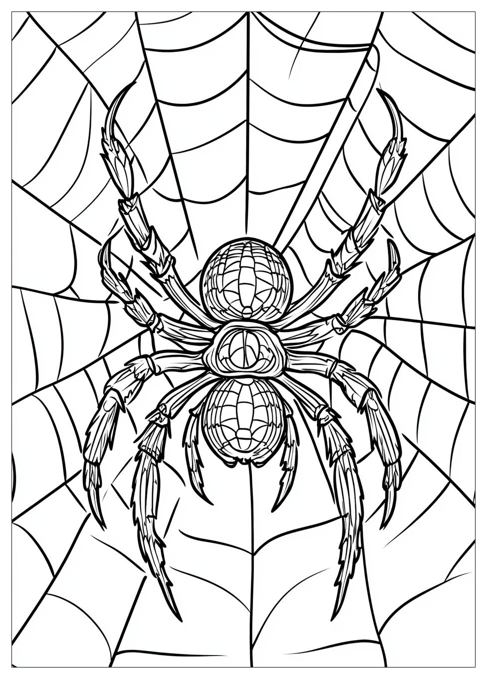 Free Printable Spider Coloring Pages 14 Spider Coloring Pages-14