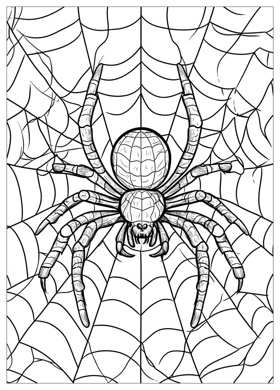 Free Printable Spider Coloring Pages 16 Spider Coloring Pages-16