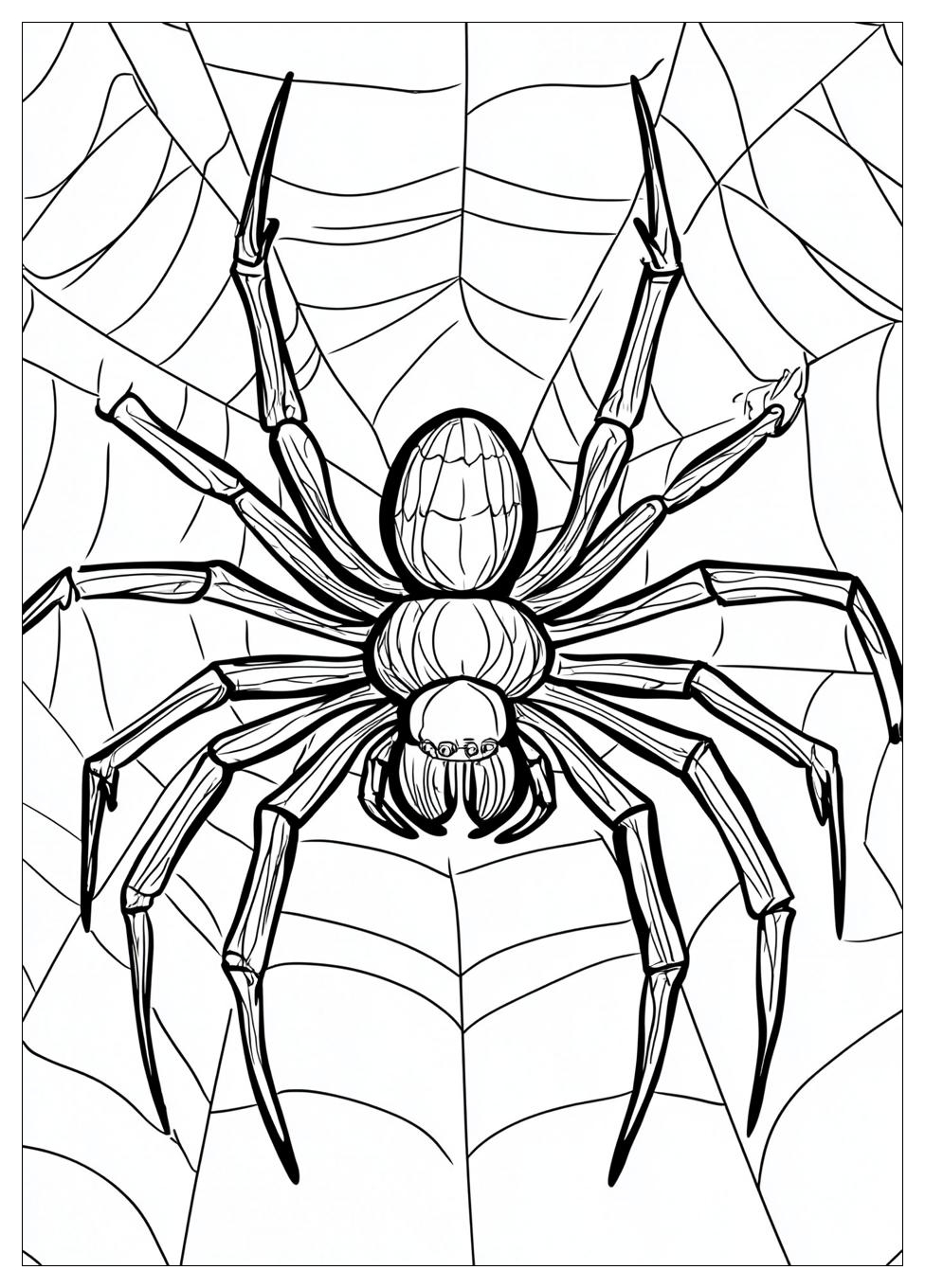 Free Printable Spider Coloring Pages 17 Spider Coloring Pages-17