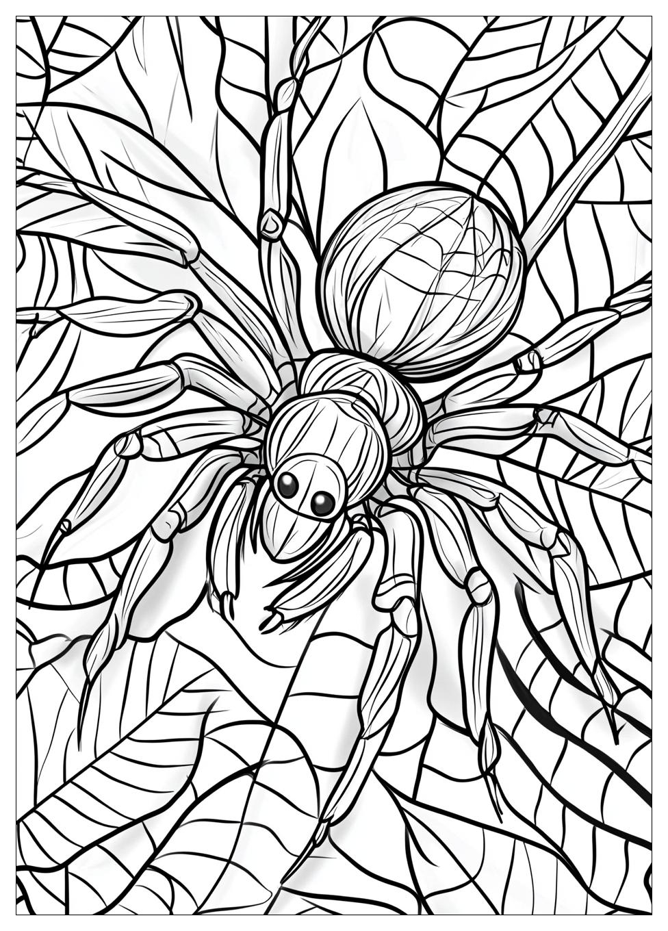 Free Printable Spider Coloring Pages 19 Spider Coloring Pages-19