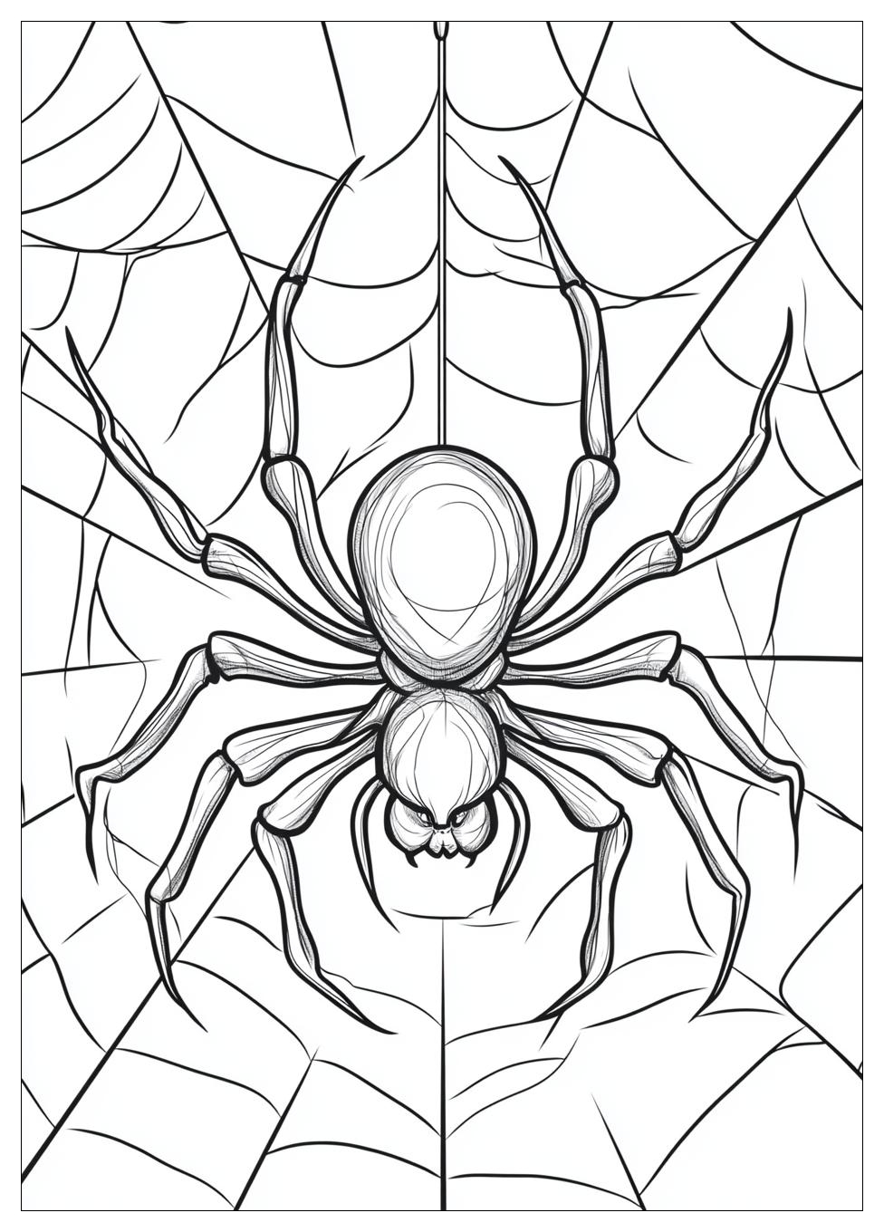 Free Printable Spider Coloring Pages 4 Spider Coloring Pages-4