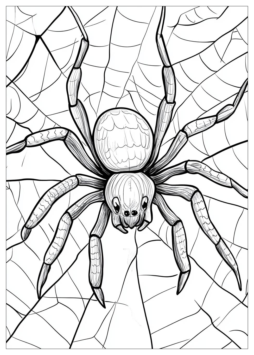 Free Printable Spider Coloring Pages 8 Spider Coloring Pages-8