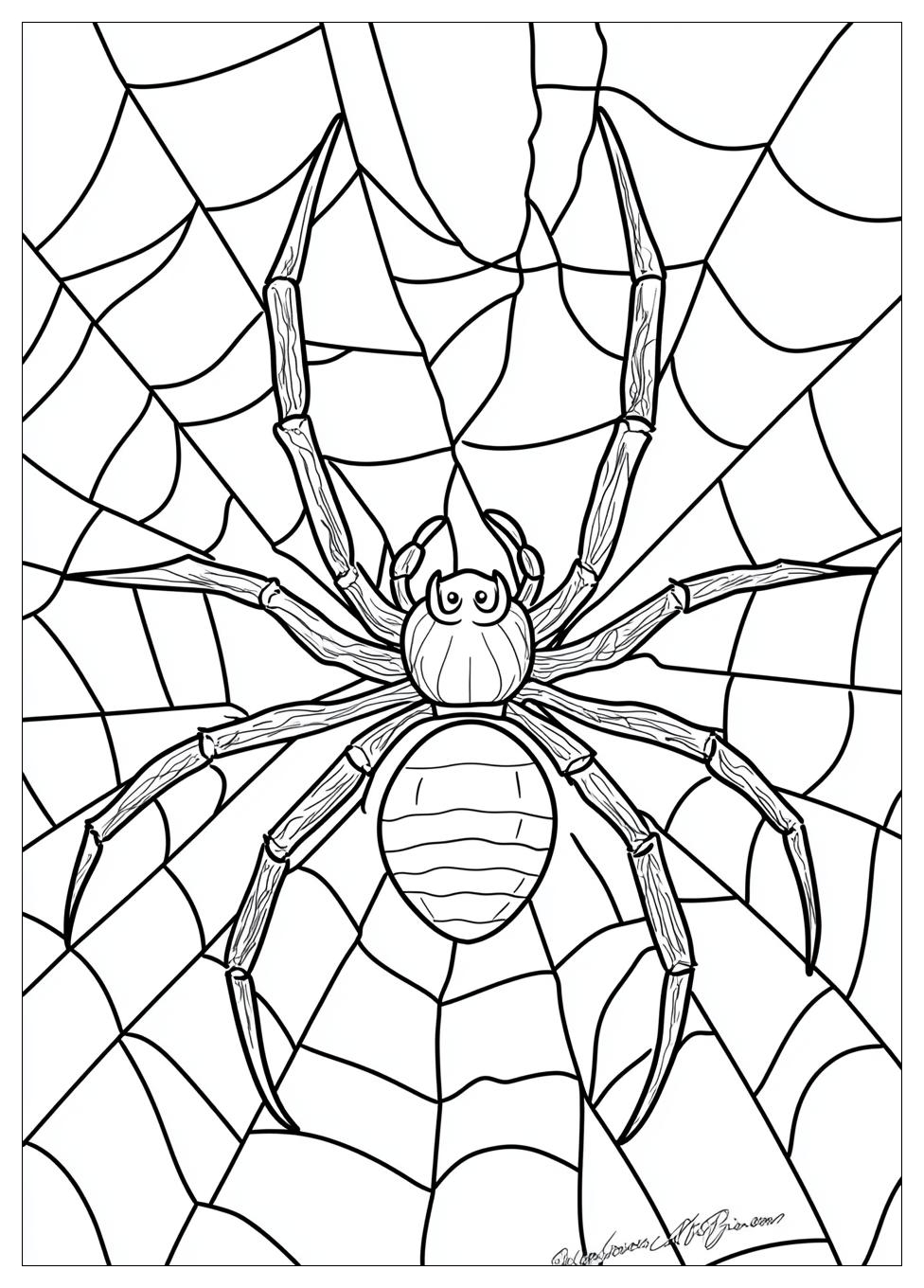 Free Printable Spider Coloring Pages 9 Spider Coloring Pages-9