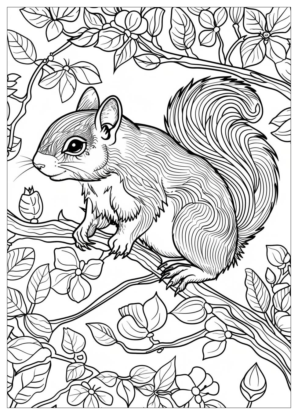Squirrel Coloring Pages-18