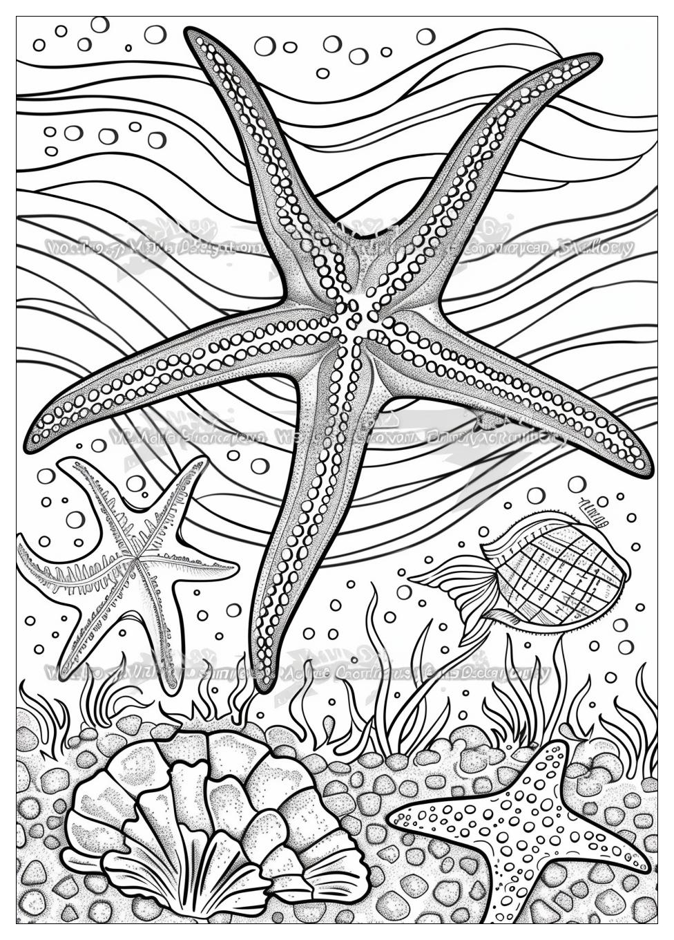 Starfish Coloring Pages-18