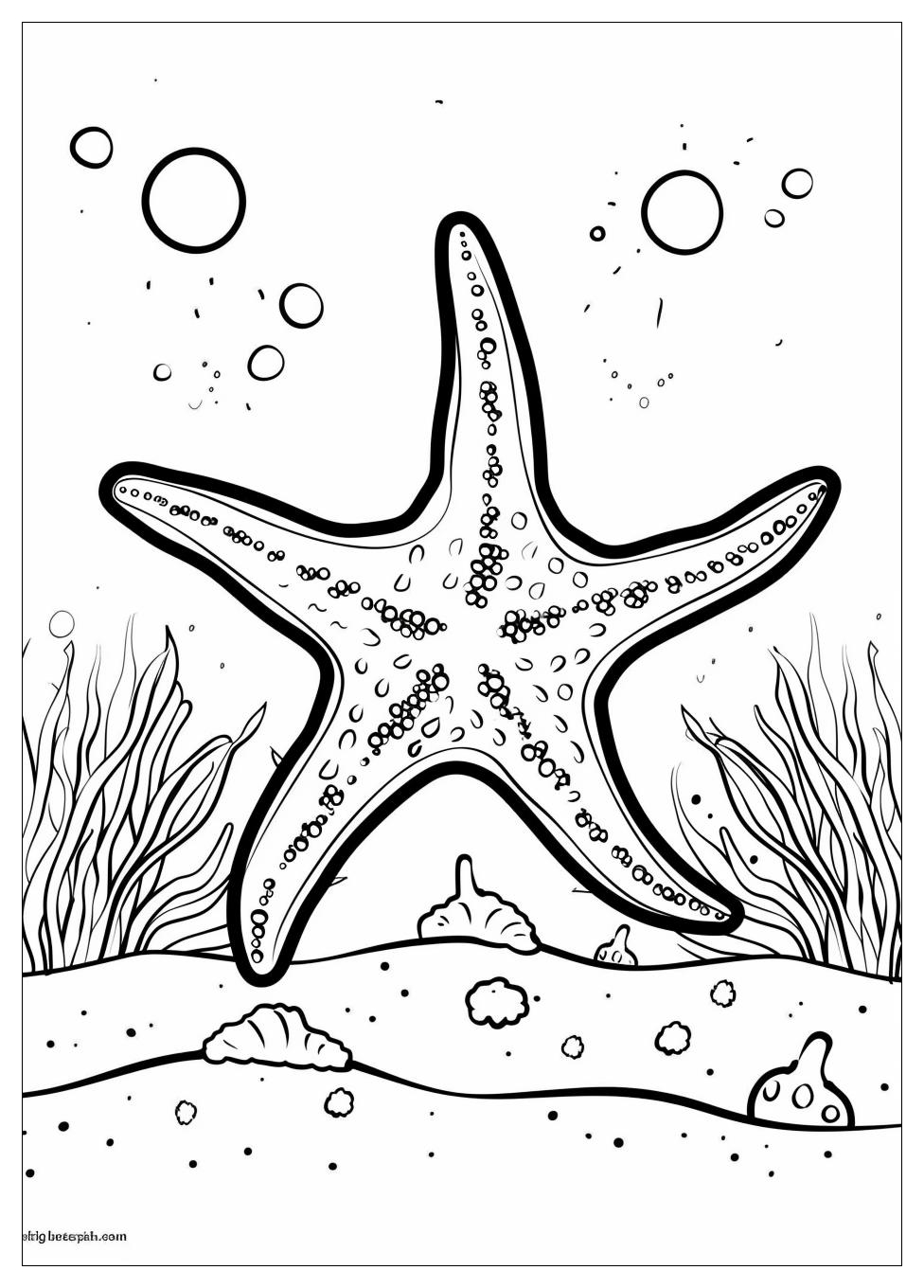 Starfish Coloring Pages-4
