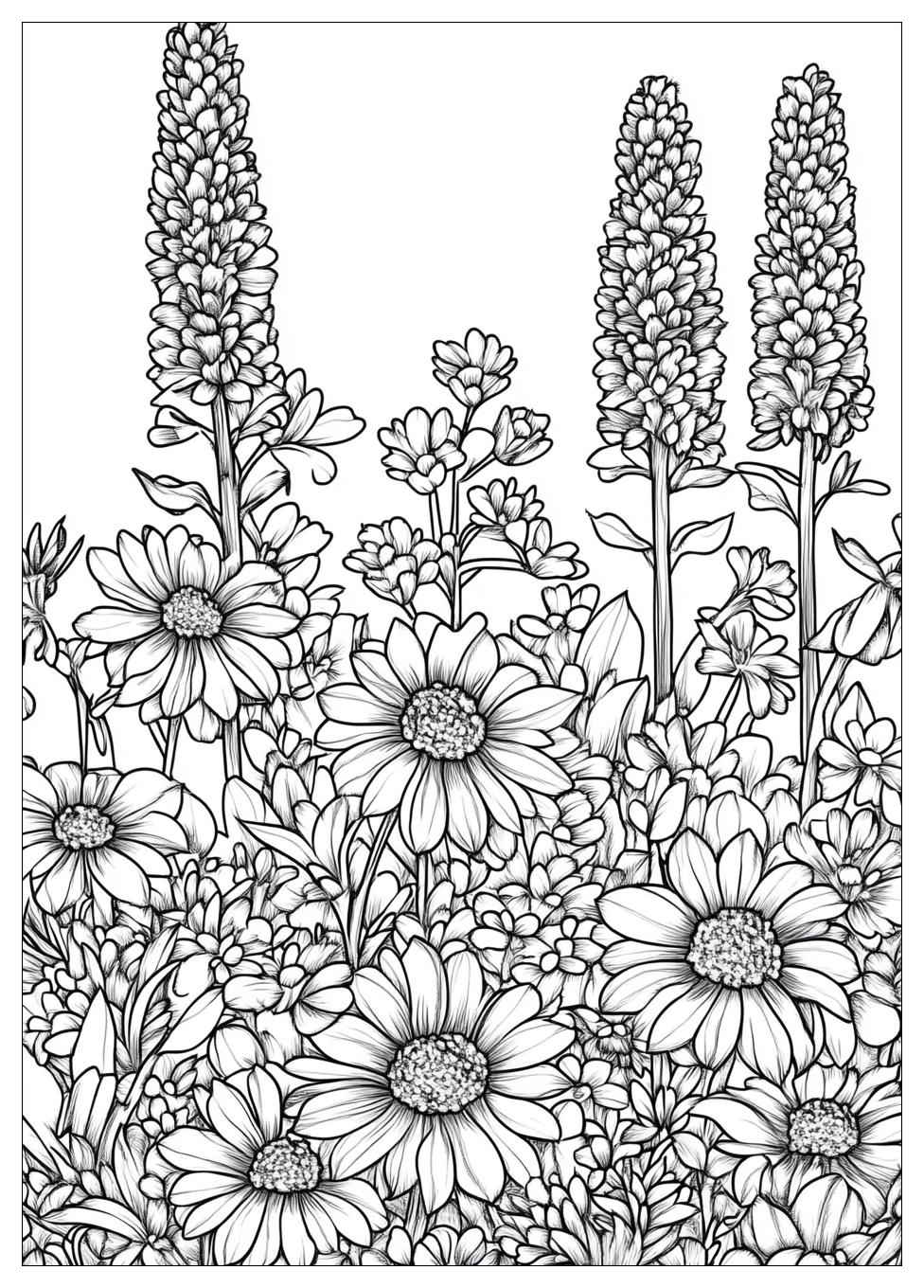 Texas Coloring Pages-16