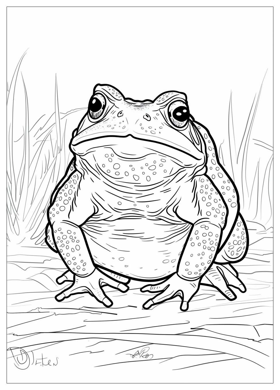Toad Coloring Pages-5