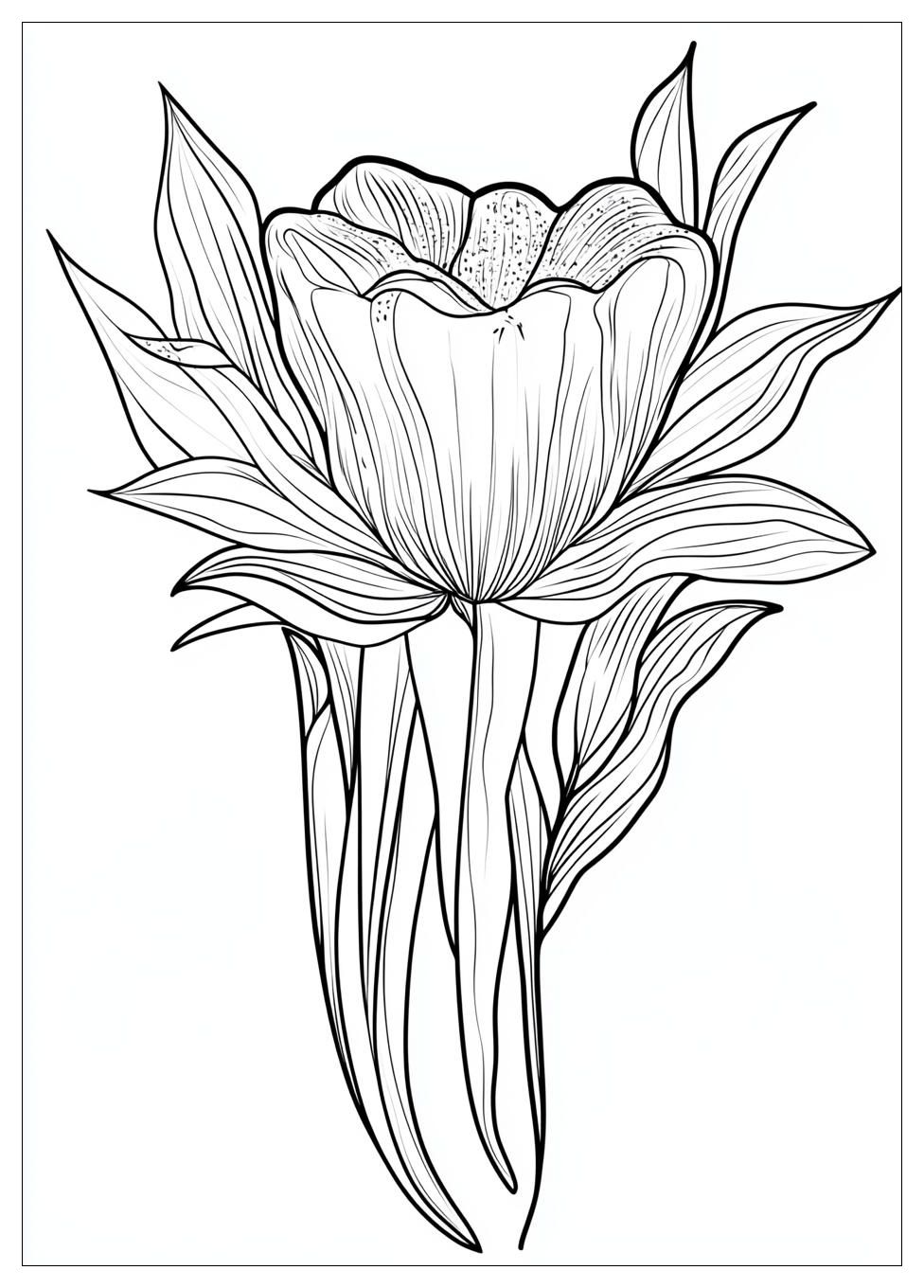 Tooth Coloring Pages-20