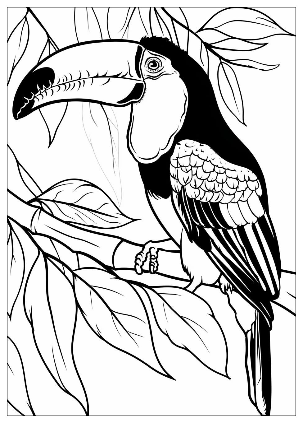 Toucan Coloring Pages-1