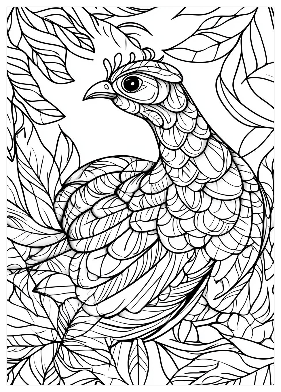 Turkey Coloring Pages-13