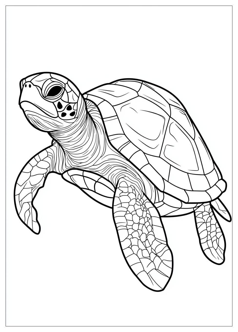 Turtle Coloring Pages-12
