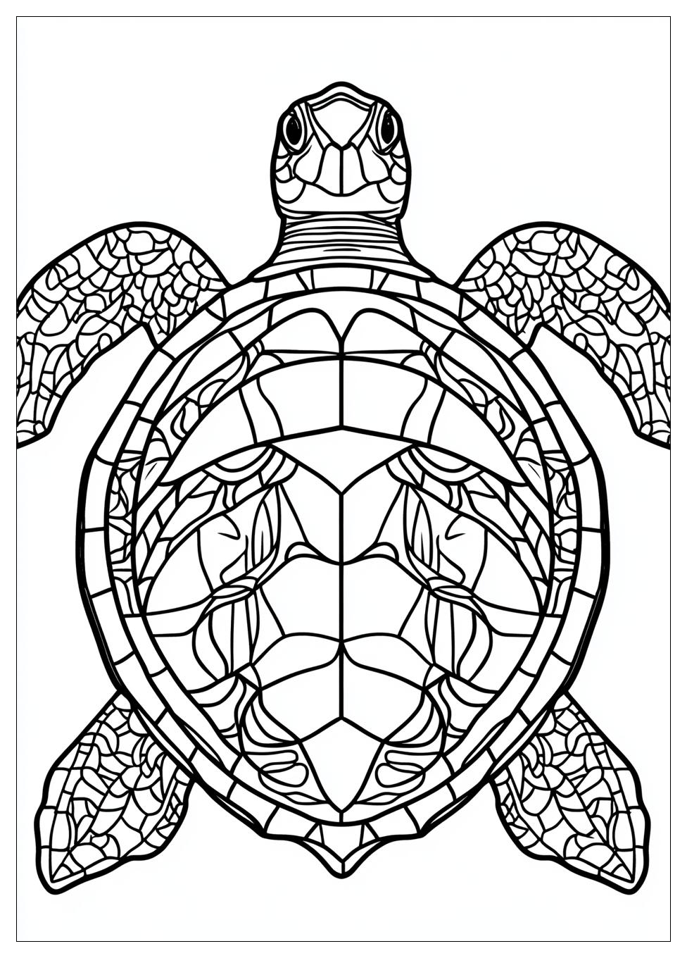 Turtle Coloring Pages-13