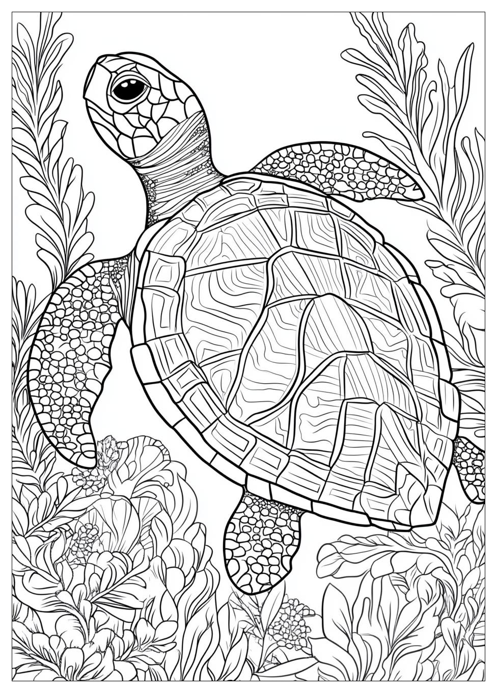 Turtle Coloring Pages-18
