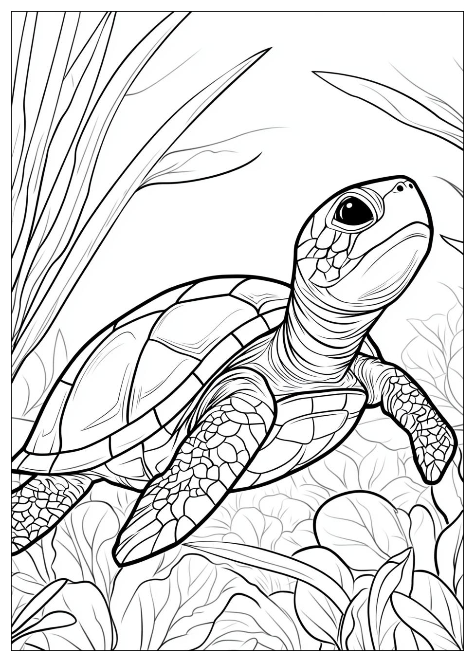 Turtle Coloring Pages-2