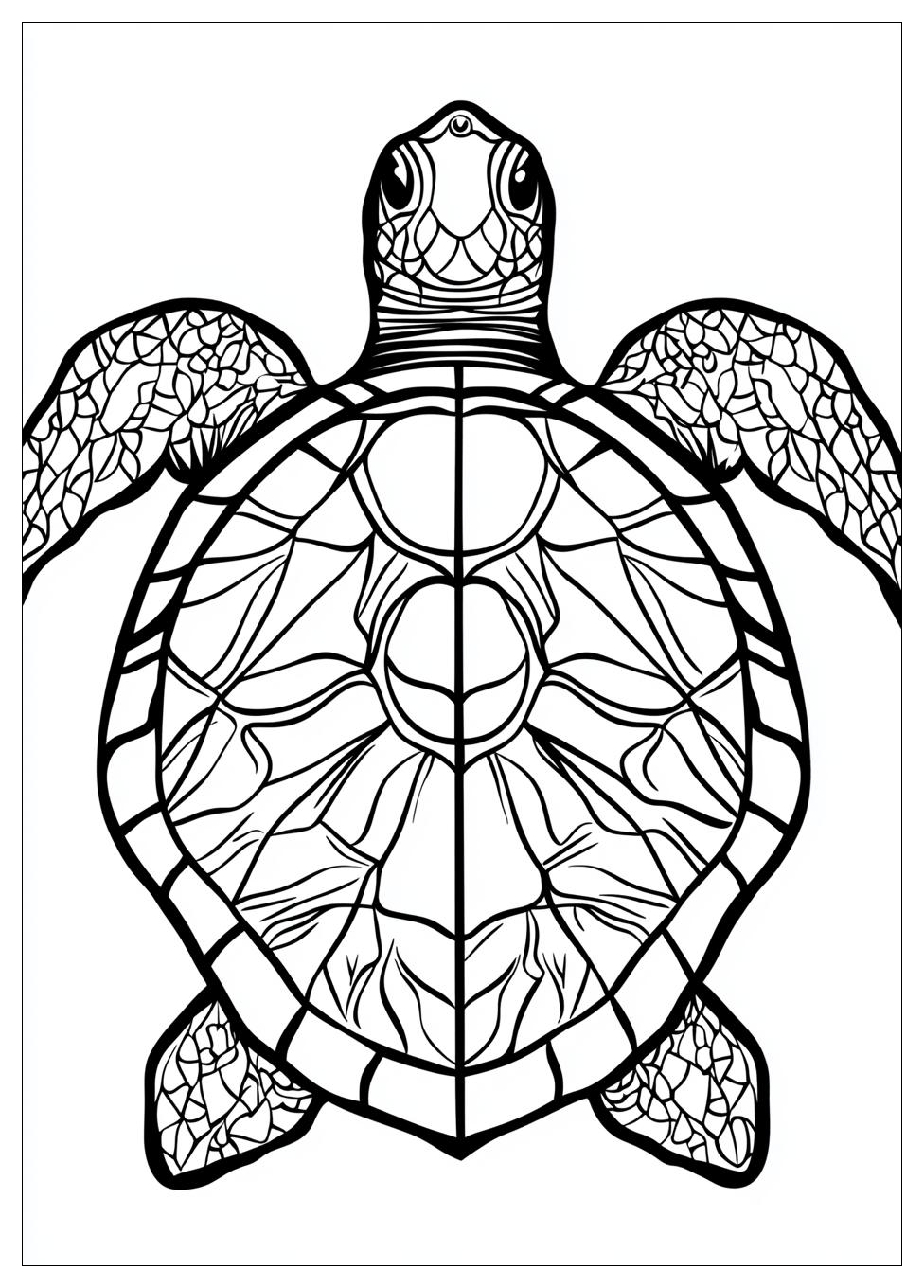 Turtle Coloring Pages-20