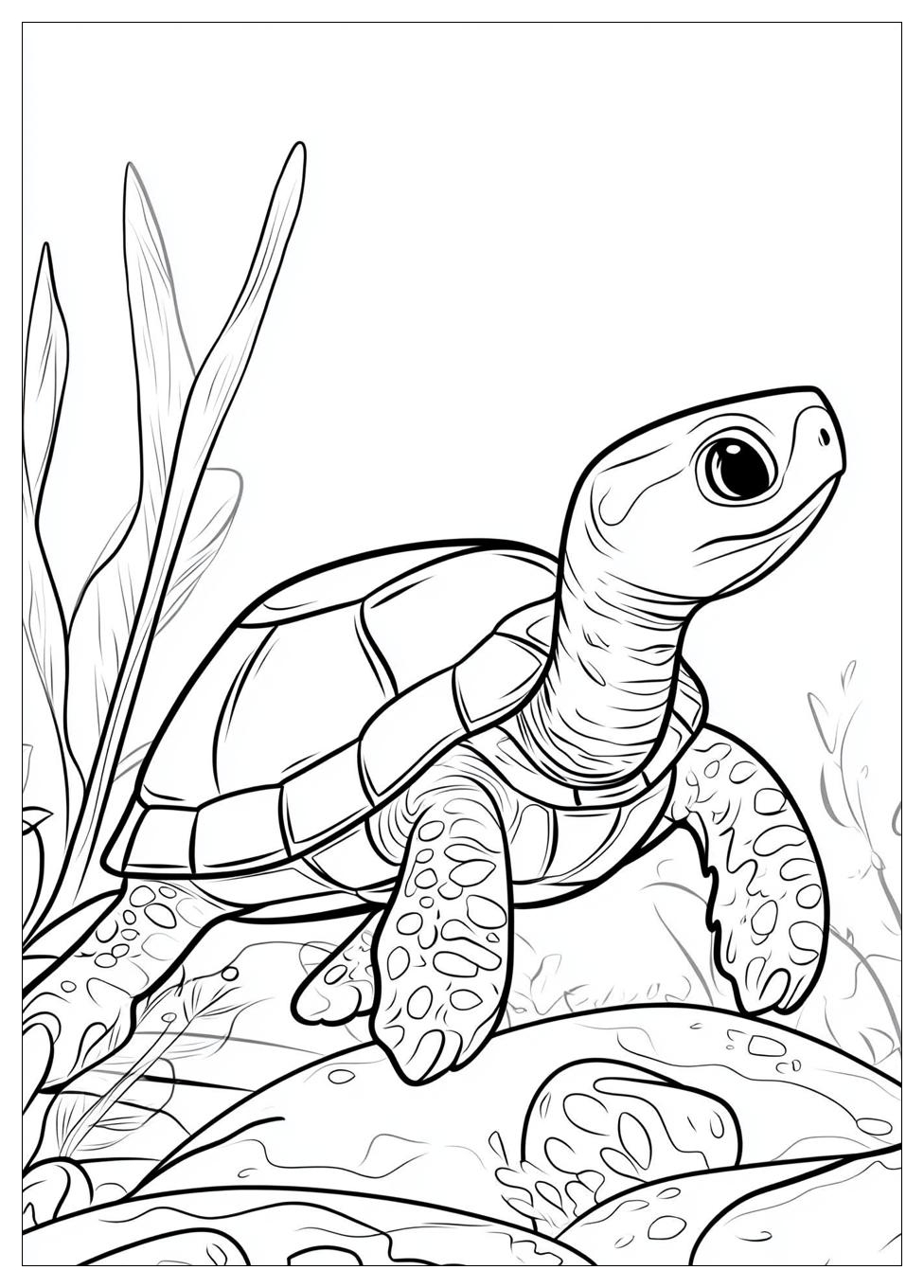 Turtle Coloring Pages-3