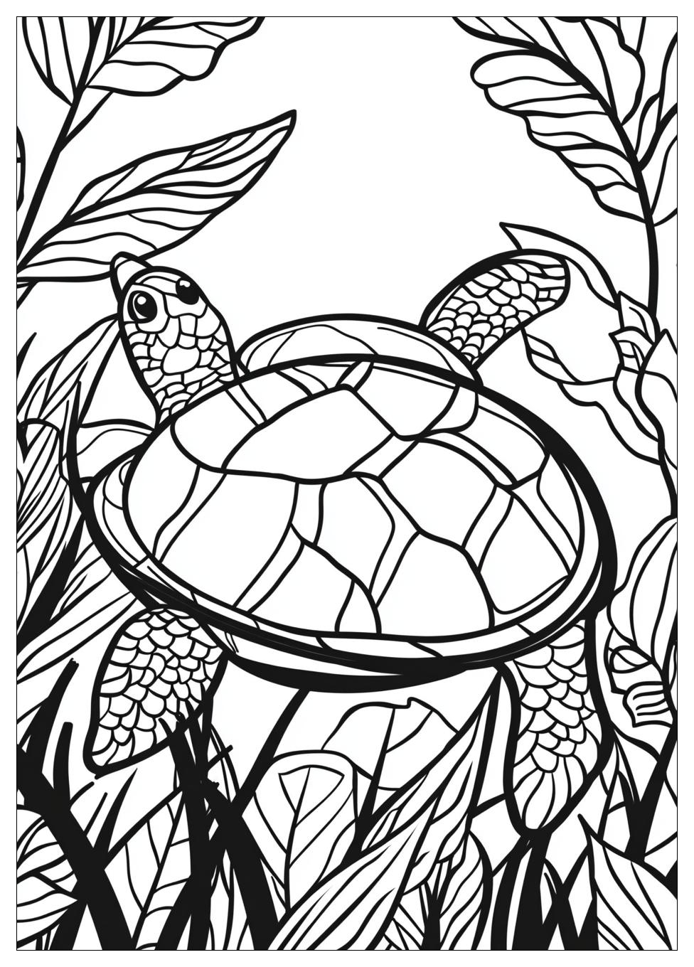 Turtle Coloring Pages-5