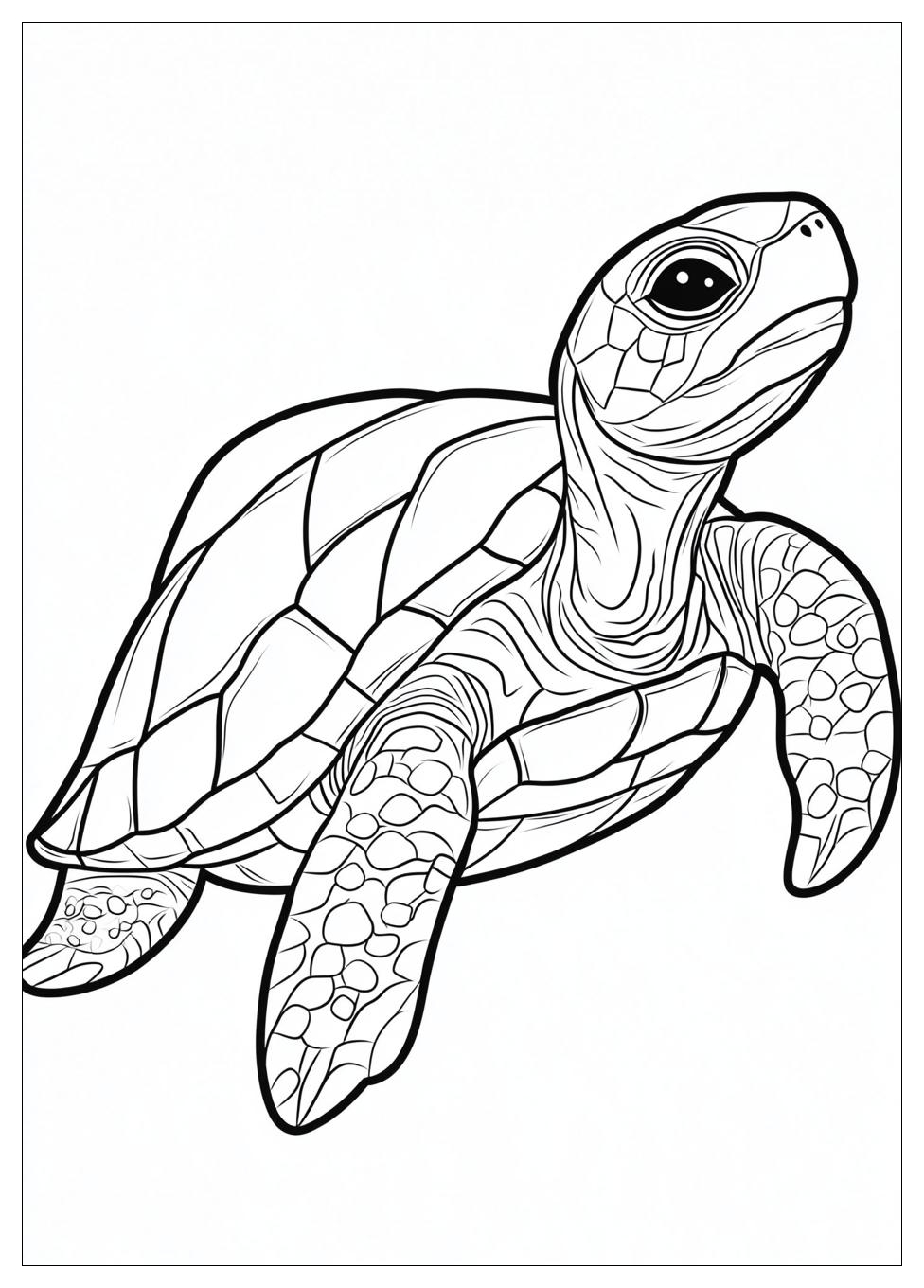 Turtle Coloring Pages-6