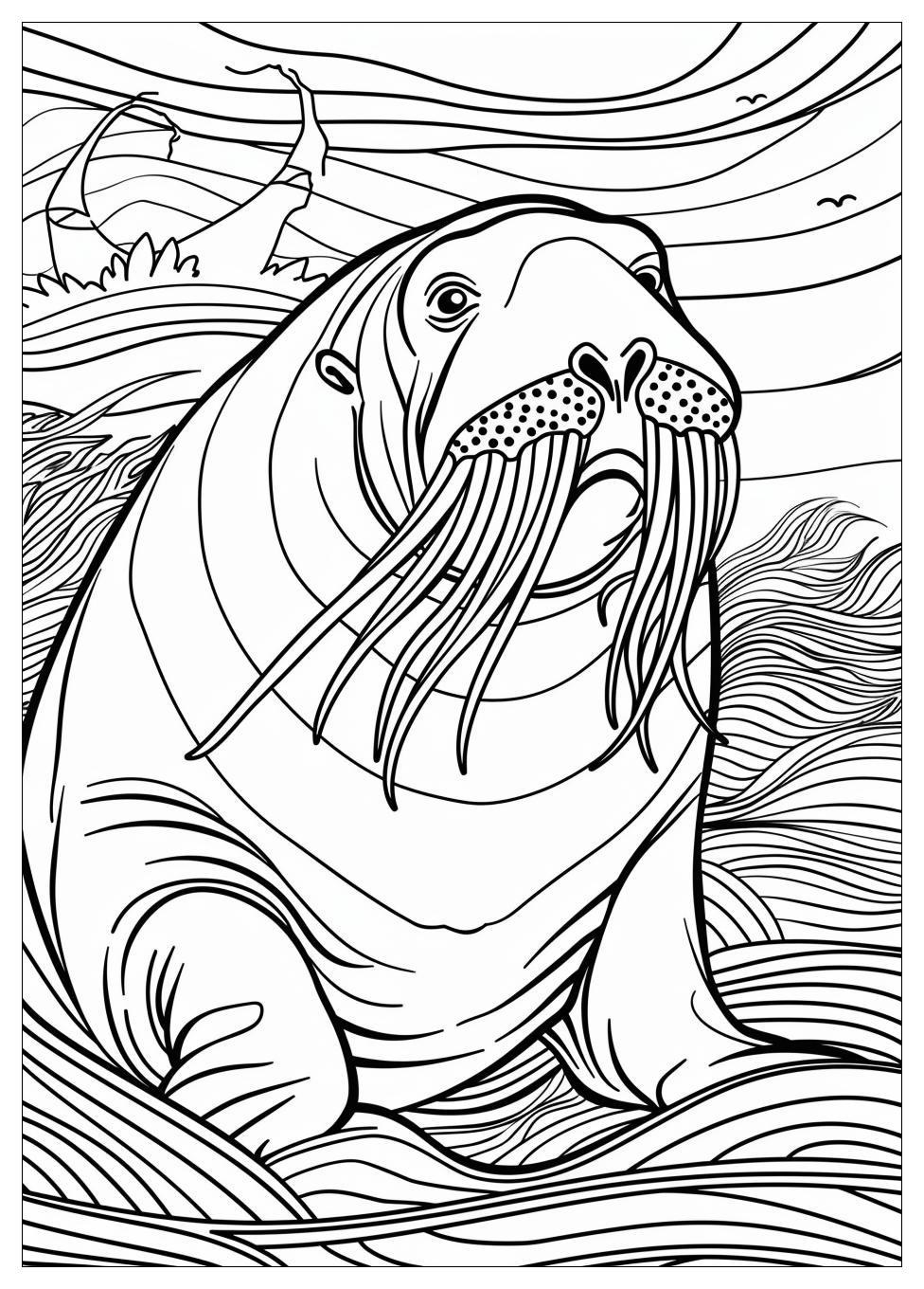 Walrus Coloring Pages-1