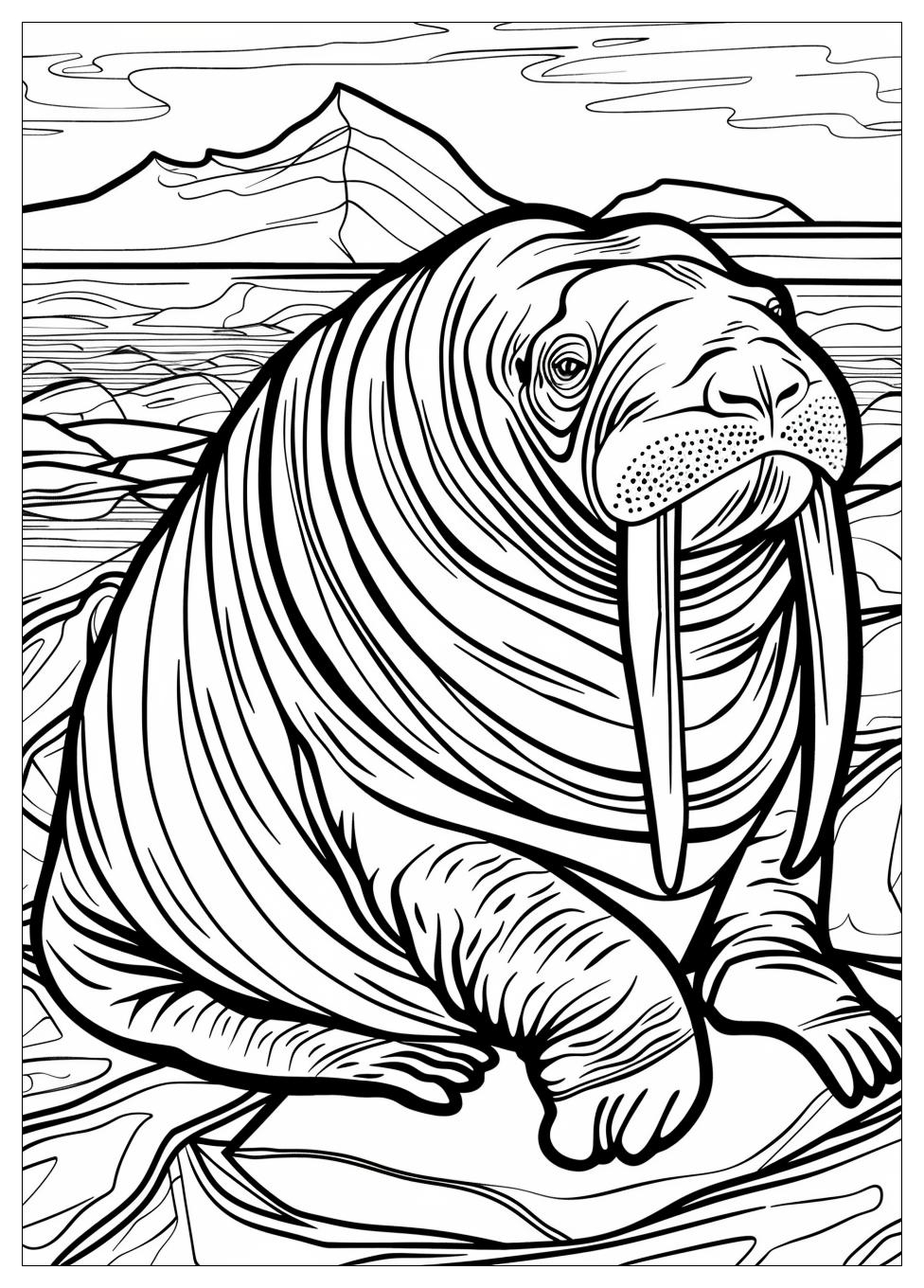 Walrus Coloring Pages-10