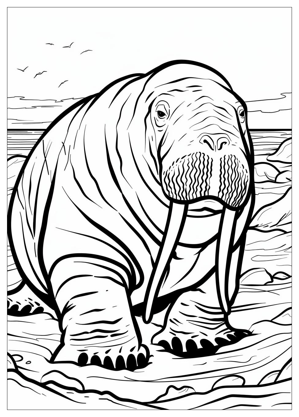 Walrus Coloring Pages-11