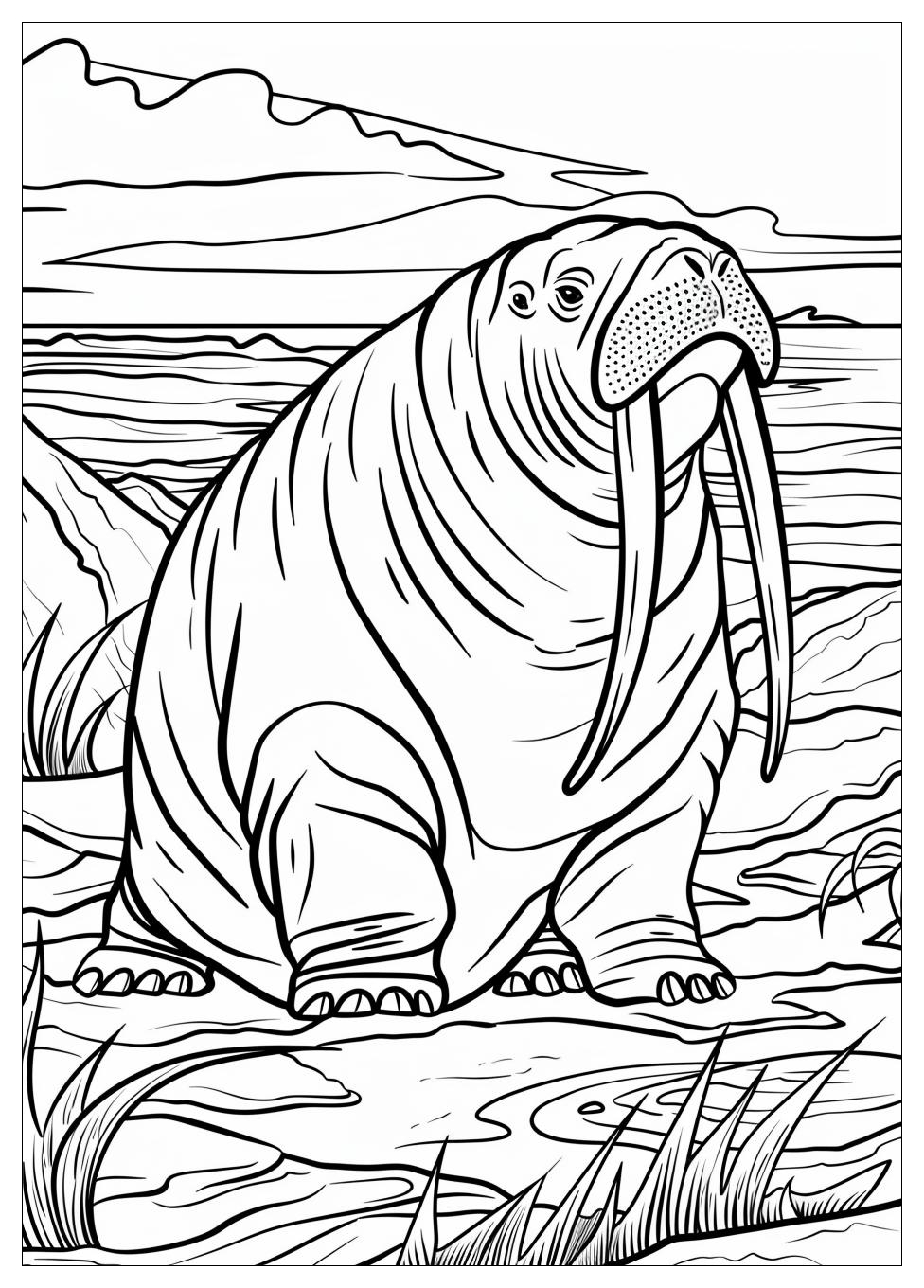 Walrus Coloring Pages-4