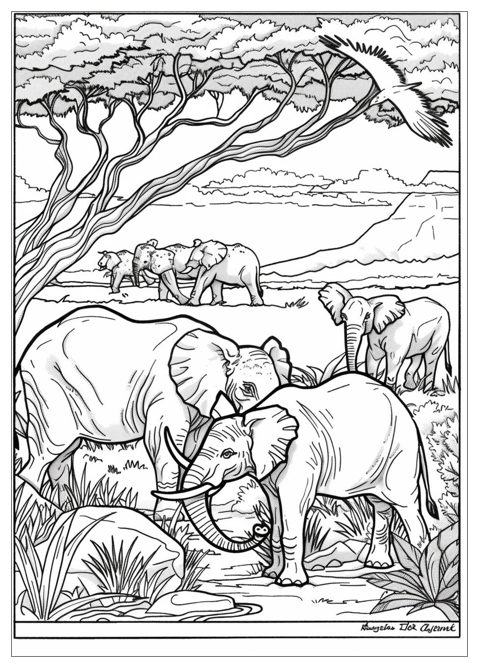 Wild Animals Coloring Pages-5