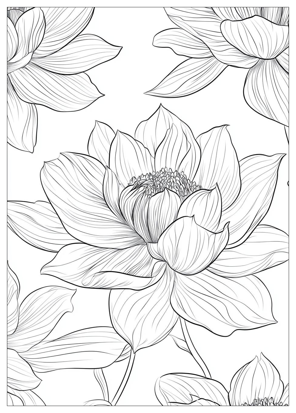 Wish Coloring Pages-20